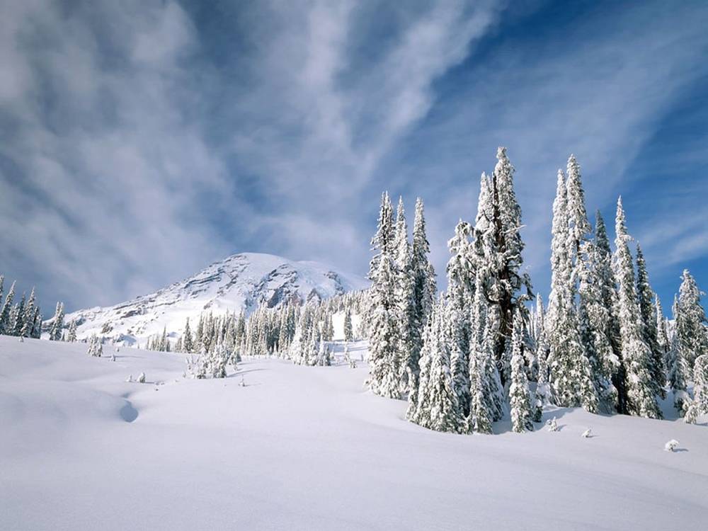 Season-(Winter-Snow-ฤดูหนาว-หิมะตก)HD-Wallpapers-Backgrounds ภาพพื้นหลัง พักหน้าจอ No.47