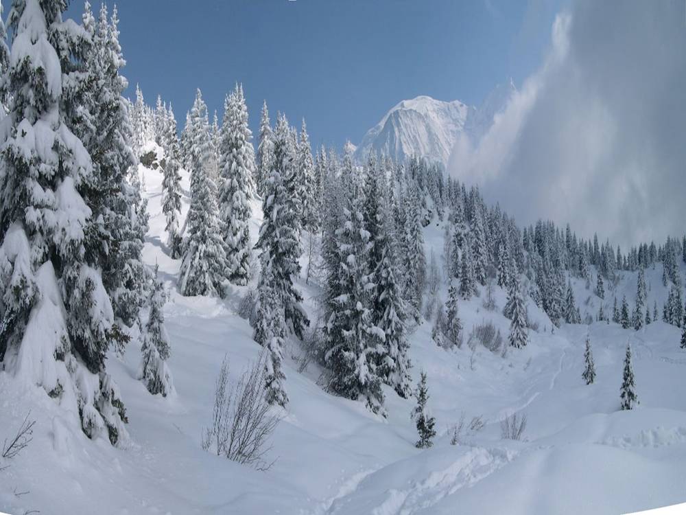 Season-(Winter-Snow-ฤดูหนาว-หิมะตก)HD-Wallpapers-Backgrounds ภาพพื้นหลัง พักหน้าจอ No.47