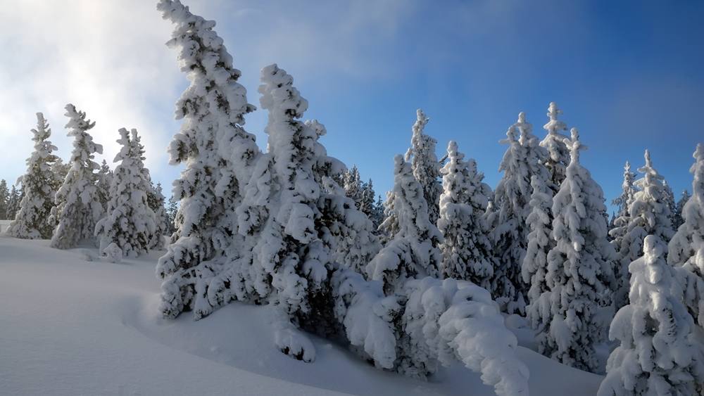 Season-(Winter-Snow-ฤดูหนาว-หิมะตก)HD-Wallpapers-Backgrounds ภาพพื้นหลัง พักหน้าจอ No.47