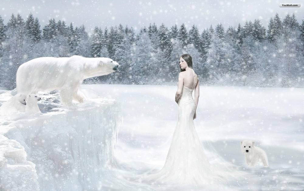 Season-(Winter-Snow-ฤดูหนาว-หิมะตก)HD-Wallpapers-Backgrounds ภาพพื้นหลัง พักหน้าจอ No.47