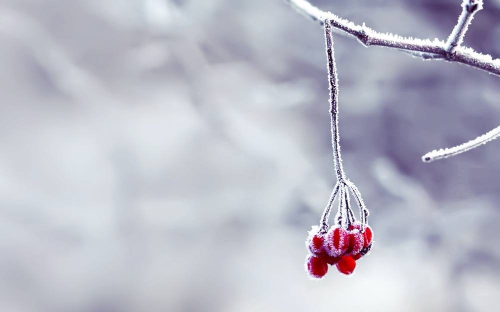 Season-(Winter-Snow-ฤดูหนาว-หิมะตก)HD-Wallpapers-Backgrounds ภาพพื้นหลัง พักหน้าจอ No.47