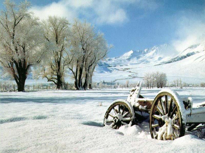 Season-(Winter-Snow-ฤดูหนาว-หิมะตก)HD-Wallpapers-Backgrounds ภาพพื้นหลัง พักหน้าจอ No.48