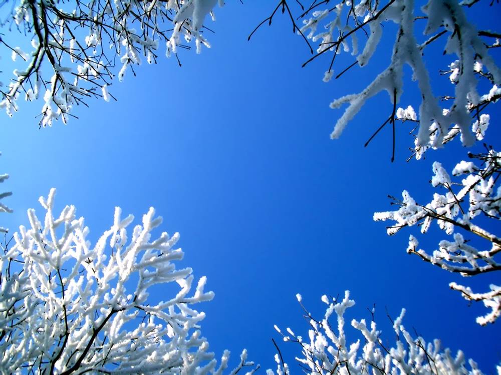 Season-(Winter-Snow-ฤดูหนาว-หิมะตก)HD-Wallpapers-Backgrounds ภาพพื้นหลัง พักหน้าจอ No.48