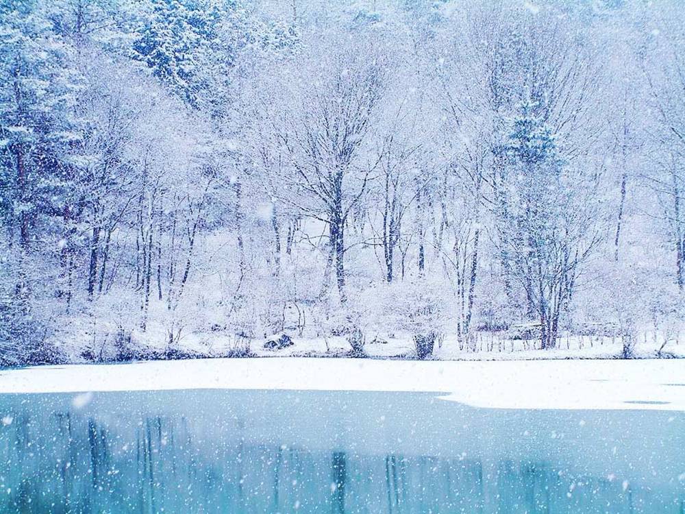 Season-(Winter-Snow-ฤดูหนาว-หิมะตก)HD-Wallpapers-Backgrounds ภาพพื้นหลัง พักหน้าจอ No.48