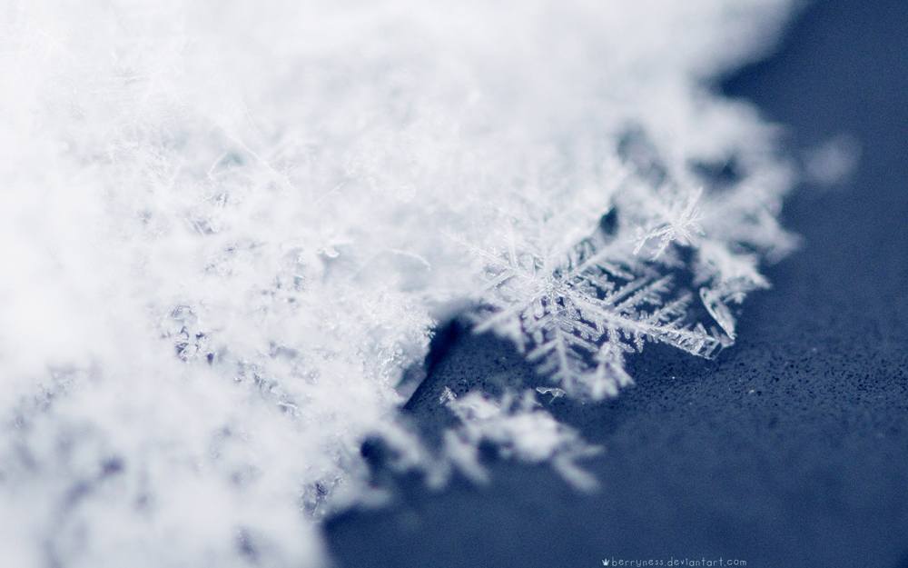 Season-(Winter-Snow-ฤดูหนาว-หิมะตก)HD-Wallpapers-Backgrounds ภาพพื้นหลัง พักหน้าจอ No.48