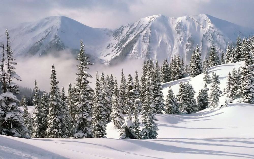 Season-(Winter-Snow-ฤดูหนาว-หิมะตก)HD-Wallpapers-Backgrounds ภาพพื้นหลัง พักหน้าจอ No.48