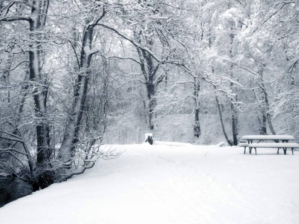 Season-(Winter-Snow-ฤดูหนาว-หิมะตก)HD-Wallpapers-Backgrounds ภาพพื้นหลัง พักหน้าจอ No.48