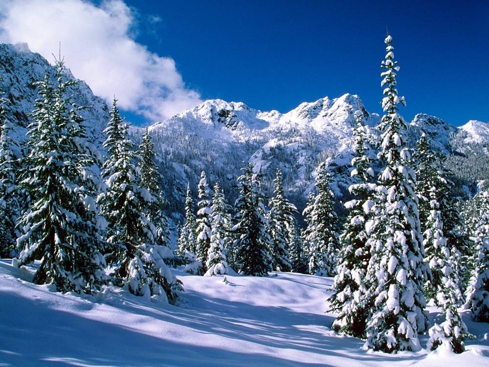 Season-(Winter-Snow-ฤดูหนาว-หิมะตก)HD-Wallpapers-Backgrounds ภาพพื้นหลัง พักหน้าจอ No.48