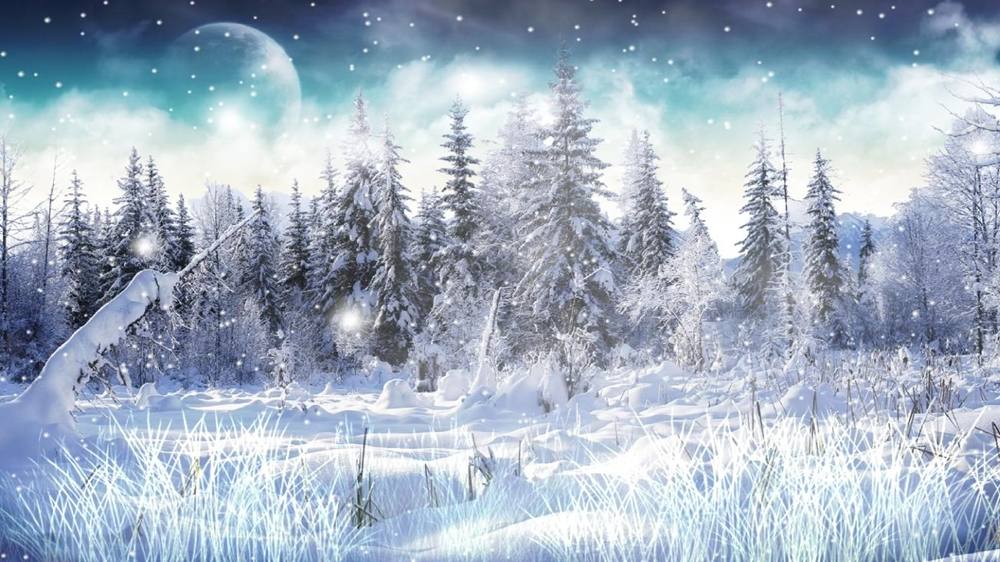 Season-(Winter-Snow-ฤดูหนาว-หิมะตก)HD-Wallpapers-Backgrounds ภาพพื้นหลัง พักหน้าจอ No.49