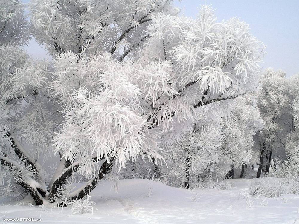 Season-(Winter-Snow-ฤดูหนาว-หิมะตก)HD-Wallpapers-Backgrounds ภาพพื้นหลัง พักหน้าจอ No.49