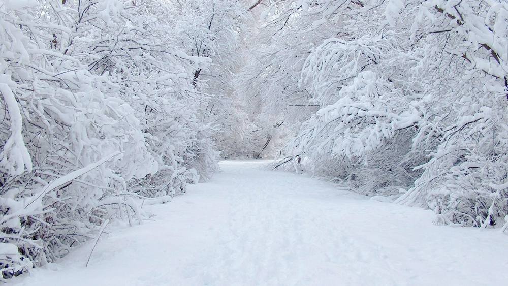 Season-(Winter-Snow-ฤดูหนาว-หิมะตก)HD-Wallpapers-Backgrounds ภาพพื้นหลัง พักหน้าจอ No.49