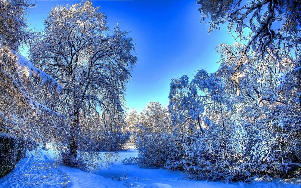 Season-(Winter-Snow-ฤดูหนาว-หิมะตก)HD-Wallpapers-Backgrounds ภาพพื้นหลัง พักหน้าจอ No.49