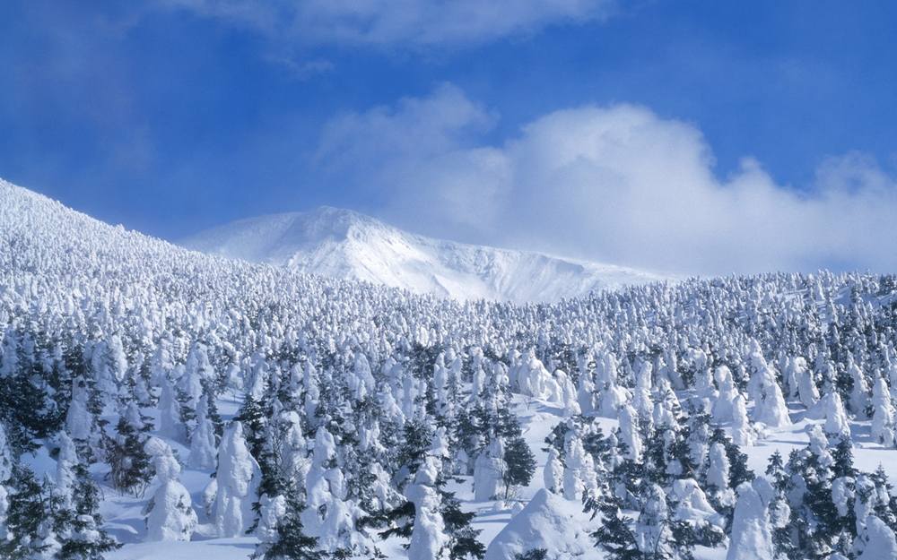 Season-(Winter-Snow-ฤดูหนาว-หิมะตก)HD-Wallpapers-Backgrounds ภาพพื้นหลัง พักหน้าจอ No.49