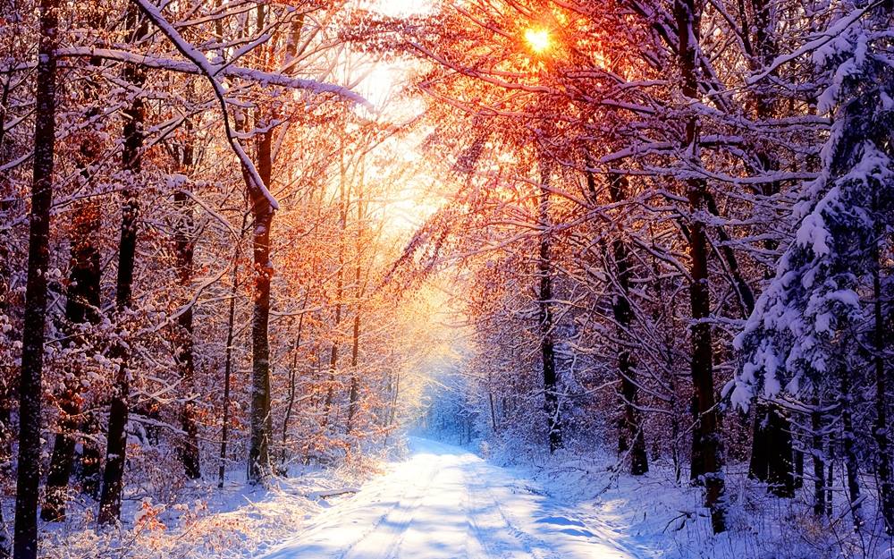 Season-(Winter-Snow-ฤดูหนาว-หิมะตก)HD-Wallpapers-Backgrounds ภาพพื้นหลัง พักหน้าจอ No.49
