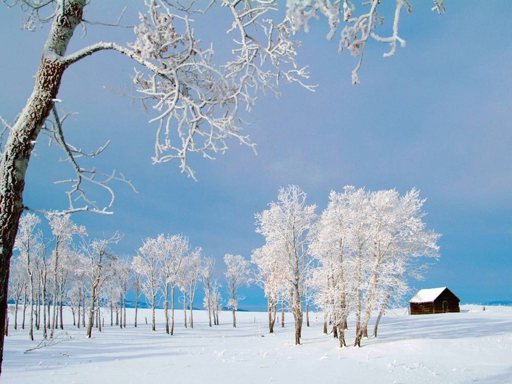 Season-(Winter-Snow-ฤดูหนาว-หิมะตก)HD-Wallpapers-Backgrounds ภาพพื้นหลัง พักหน้าจอ No.49