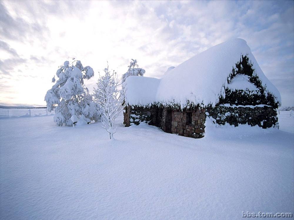 Season-(Winter-Snow-ฤดูหนาว-หิมะตก)HD-Wallpapers-Backgrounds ภาพพื้นหลัง พักหน้าจอ No.50