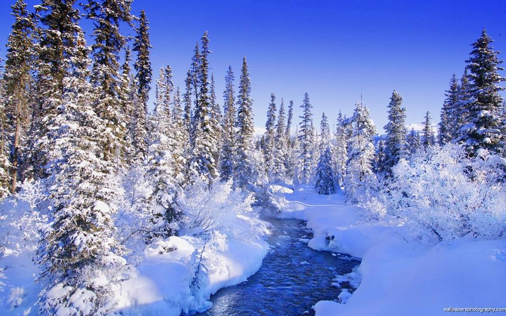 Season-(Winter-Snow-ฤดูหนาว-หิมะตก)HD-Wallpapers-Backgrounds ภาพพื้นหลัง พักหน้าจอ No.50
