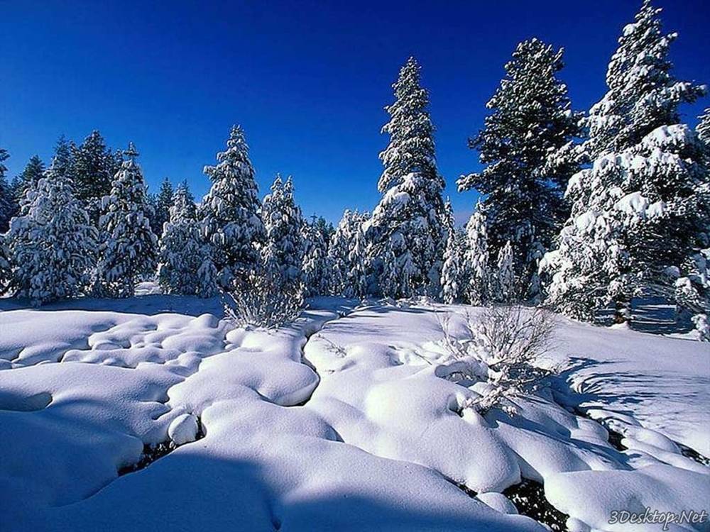 Season-(Winter-Snow-ฤดูหนาว-หิมะตก)HD-Wallpapers-Backgrounds ภาพพื้นหลัง พักหน้าจอ No.51