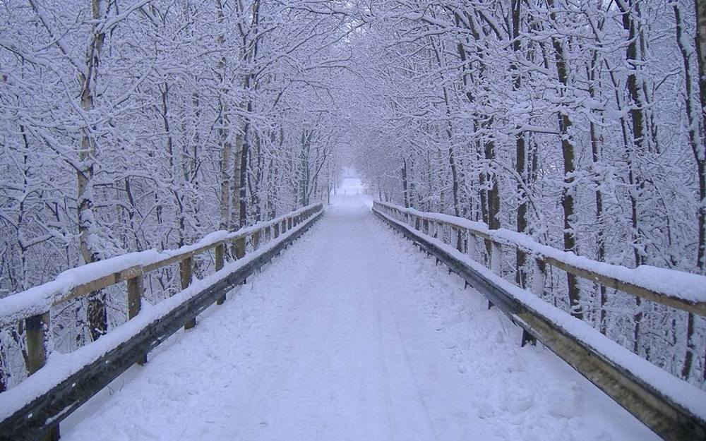 Season-(Winter-Snow-ฤดูหนาว-หิมะตก)HD-Wallpapers-Backgrounds ภาพพื้นหลัง พักหน้าจอ No.51