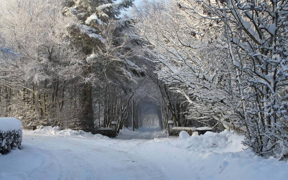 Season-(Winter-Snow-ฤดูหนาว-หิมะตก)HD-Wallpapers-Backgrounds ภาพพื้นหลัง พักหน้าจอ No.51