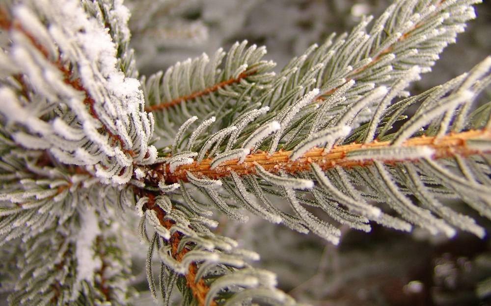 Season-(Winter-Snow-ฤดูหนาว-หิมะตก)HD-Wallpapers-Backgrounds ภาพพื้นหลัง พักหน้าจอ No.51