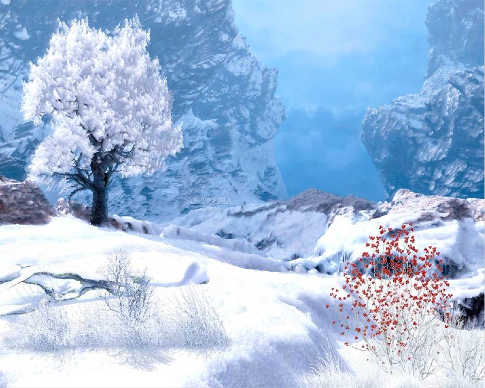 Season-(Winter-Snow-ฤดูหนาว-หิมะตก)HD-Wallpapers-Backgrounds ภาพพื้นหลัง พักหน้าจอ No.51