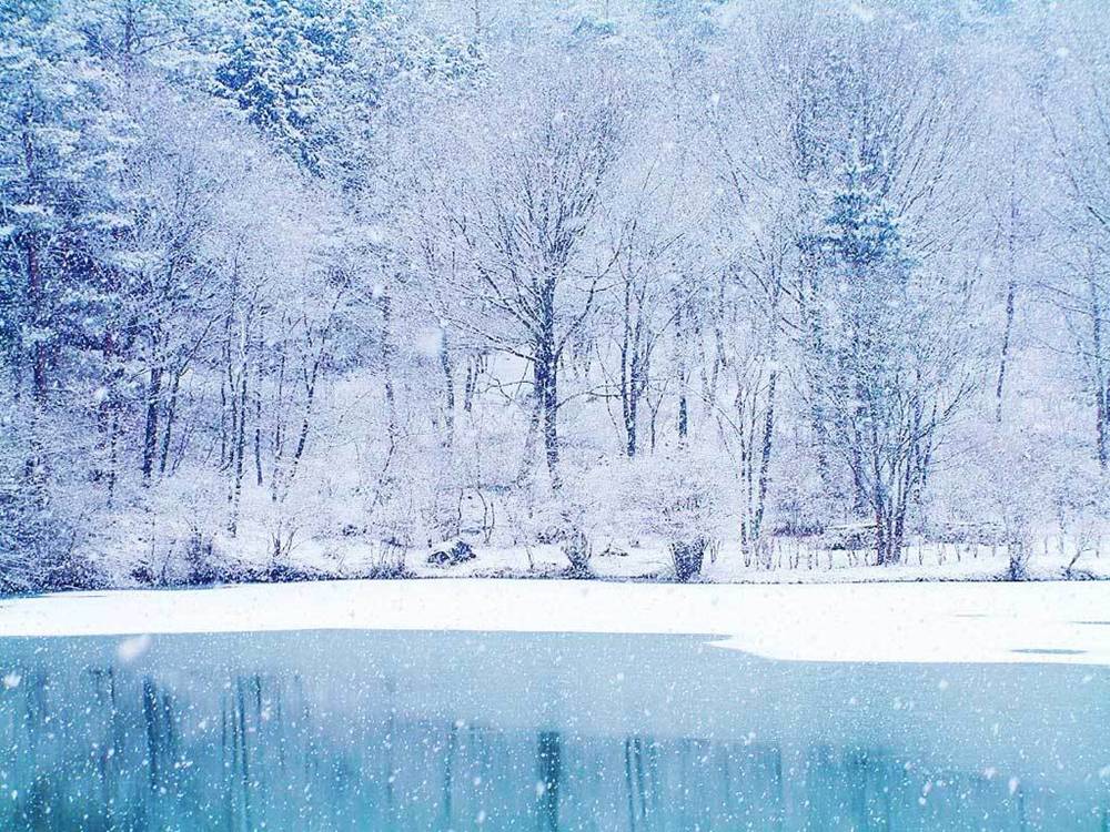 Season-(Winter-Snow-ฤดูหนาว-หิมะตก)HD-Wallpapers-Backgrounds ภาพพื้นหลัง พักหน้าจอ No.52