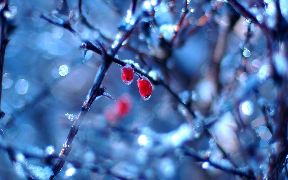 Season-(Winter-Snow-ฤดูหนาว-หิมะตก)HD-Wallpapers-Backgrounds ภาพพื้นหลัง พักหน้าจอ No.52