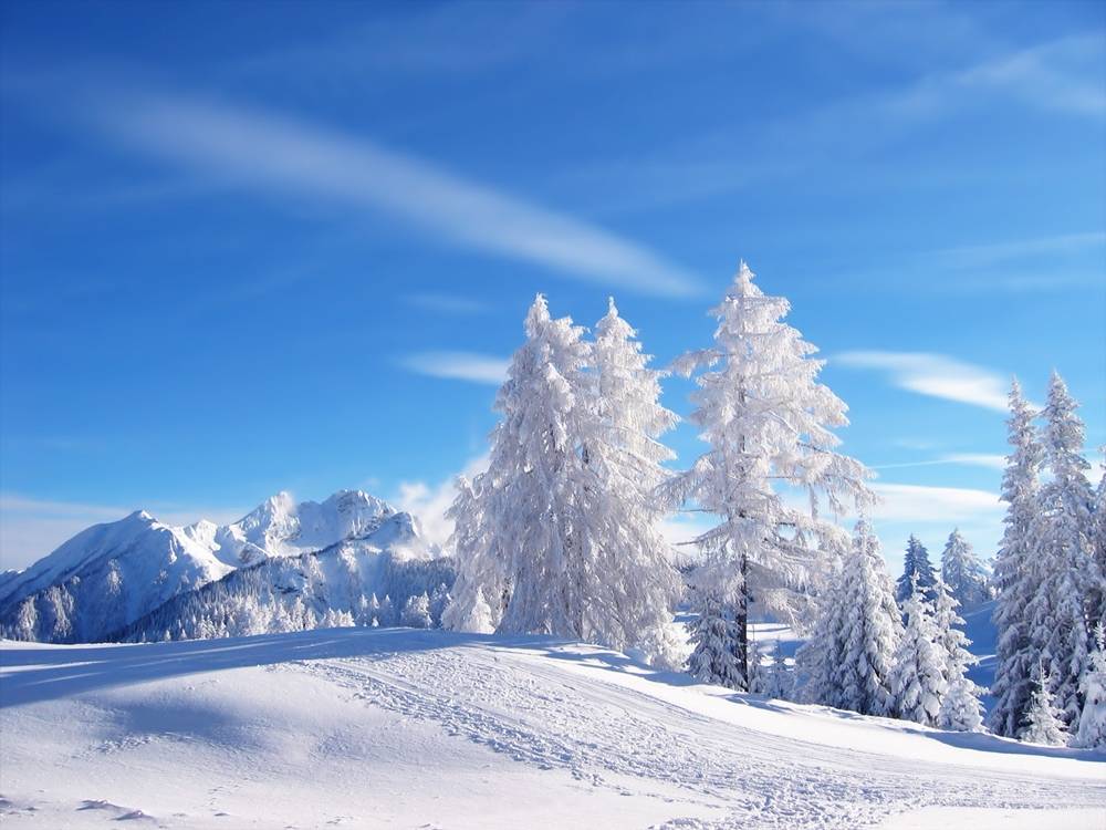 Season-(Winter-Snow-ฤดูหนาว-หิมะตก)HD-Wallpapers-Backgrounds ภาพพื้นหลัง พักหน้าจอ No.52