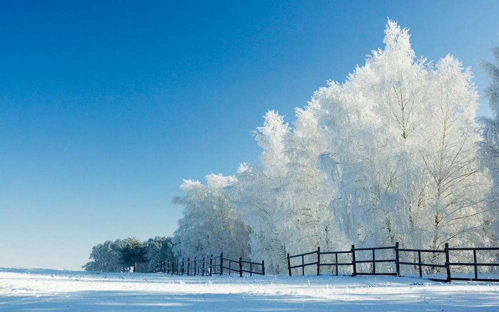 Season-(Winter-Snow-ฤดูหนาว-หิมะตก)HD-Wallpapers-Backgrounds ภาพพื้นหลัง พักหน้าจอ No.52