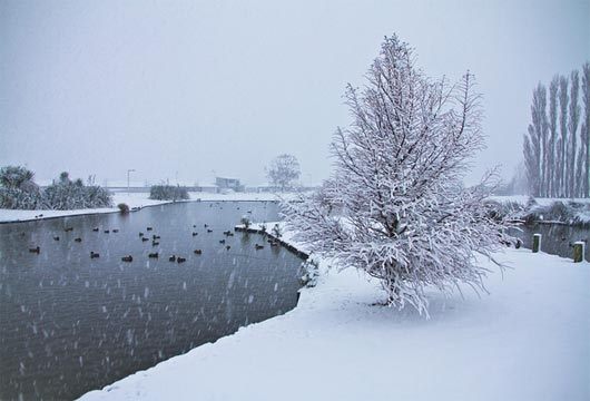 Season-(Winter-Snow-ฤดูหนาว-หิมะตก)HD-Wallpapers-Backgrounds ภาพพื้นหลัง พักหน้าจอ No.52
