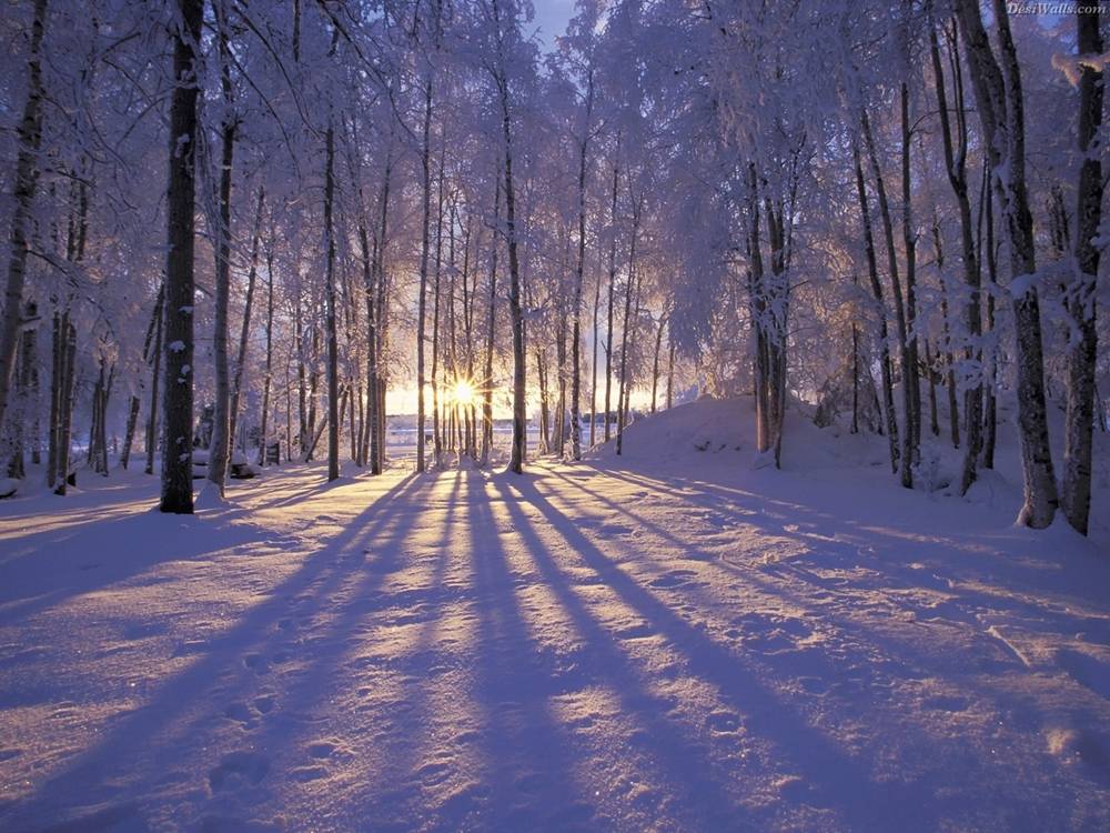 Season-(Winter-Snow-ฤดูหนาว-หิมะตก)HD-Wallpapers-Backgrounds ภาพพื้นหลัง พักหน้าจอ No.53
