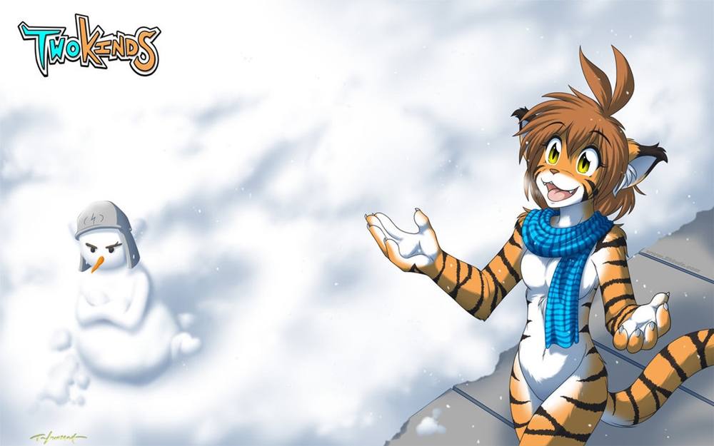 Season-(Winter-Snow-ฤดูหนาว-หิมะตก)HD-Wallpapers-Backgrounds ภาพพื้นหลัง พักหน้าจอ No.53