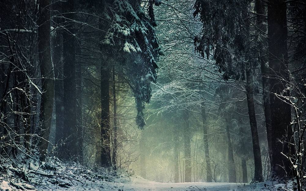 Season-(Winter-Snow-ฤดูหนาว-หิมะตก)HD-Wallpapers-Backgrounds ภาพพื้นหลัง พักหน้าจอ No.53
