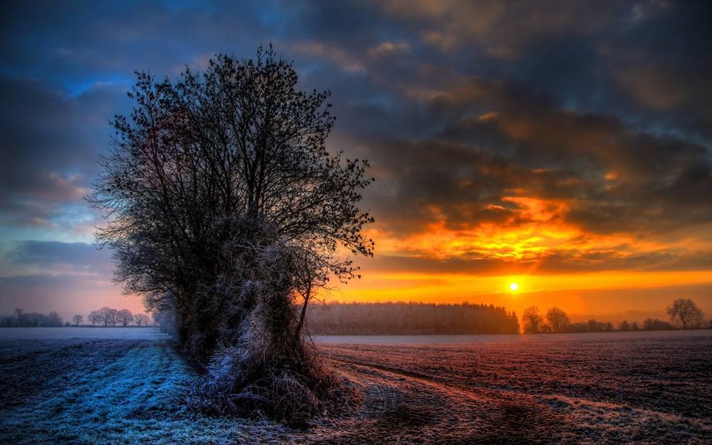 Season-(Winter-Snow-ฤดูหนาว-หิมะตก)HD-Wallpapers-Backgrounds ภาพพื้นหลัง พักหน้าจอ No.53