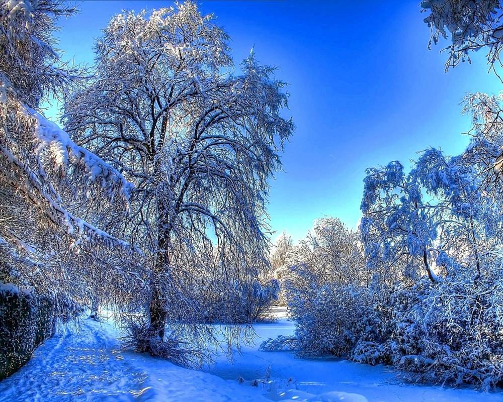 Season-(Winter-Snow-ฤดูหนาว-หิมะตก)HD-Wallpapers-Backgrounds ภาพพื้นหลัง พักหน้าจอ No.53