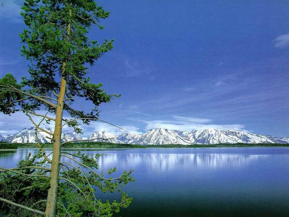 Season-(Winter-Snow-ฤดูหนาว-หิมะตก)HD-Wallpapers-Backgrounds ภาพพื้นหลัง พักหน้าจอ No.53