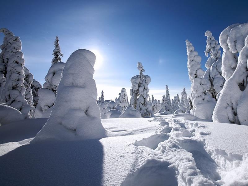 Season-(Winter-Snow-ฤดูหนาว-หิมะตก)HD-Wallpapers-Backgrounds ภาพพื้นหลัง พักหน้าจอ No.53