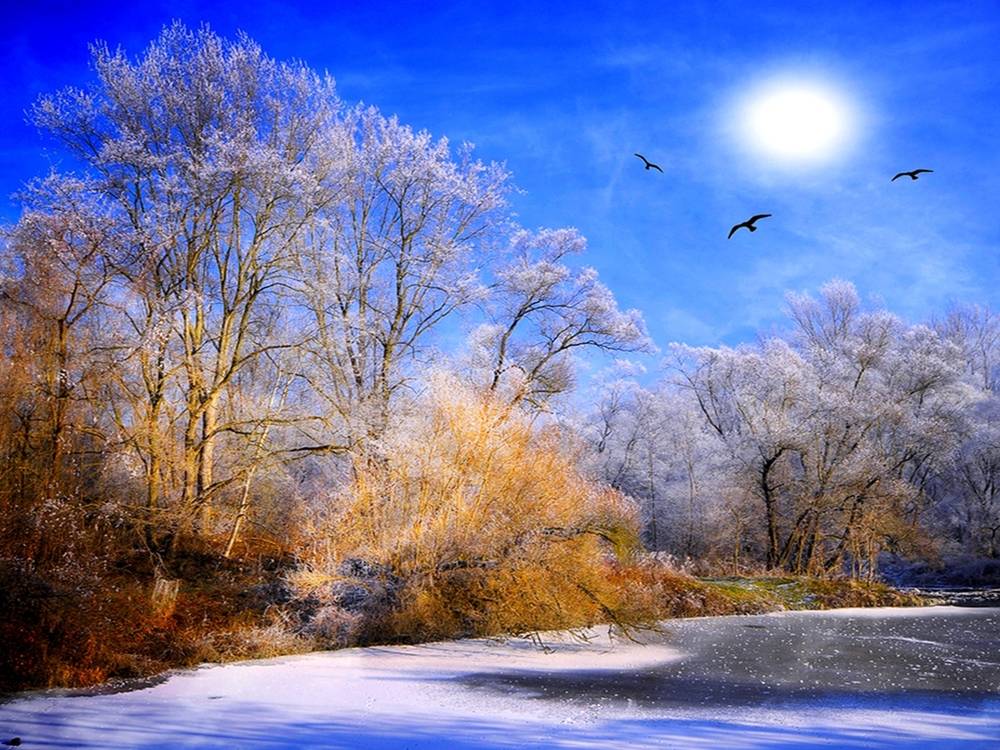 Season-(Winter-Snow-ฤดูหนาว-หิมะตก)HD-Wallpapers-Backgrounds ภาพพื้นหลัง พักหน้าจอ No.54