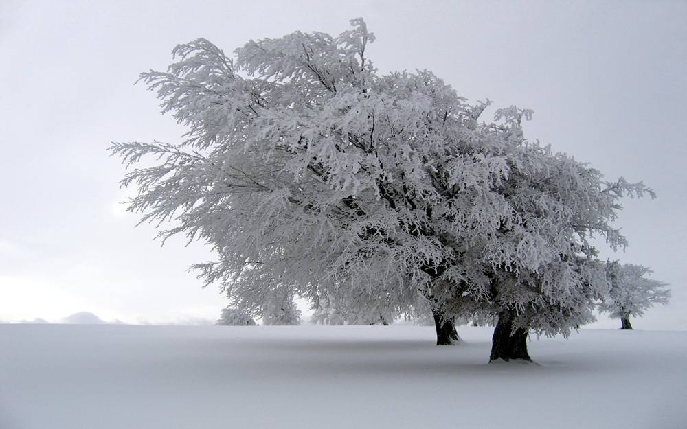 Season-(Winter-Snow-ฤดูหนาว-หิมะตก)HD-Wallpapers-Backgrounds ภาพพื้นหลัง พักหน้าจอ No.54