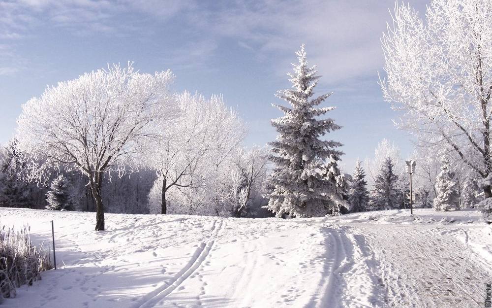 Season-(Winter-Snow-ฤดูหนาว-หิมะตก)HD-Wallpapers-Backgrounds ภาพพื้นหลัง พักหน้าจอ No.54