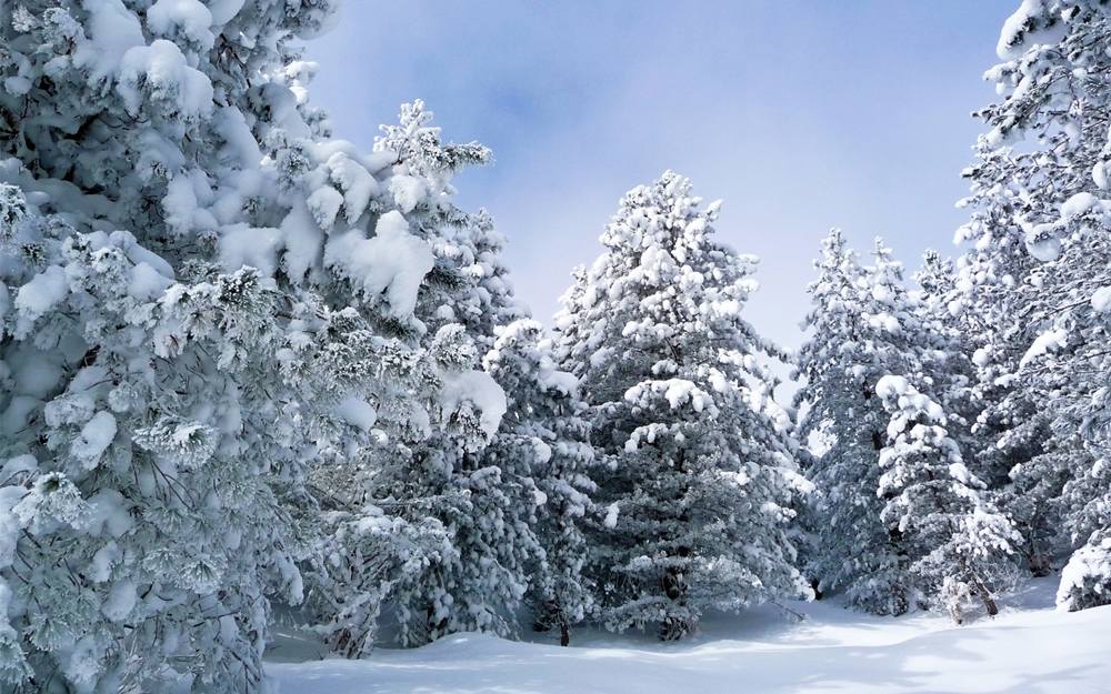 Season-(Winter-Snow-ฤดูหนาว-หิมะตก)HD-Wallpapers-Backgrounds ภาพพื้นหลัง พักหน้าจอ No.54