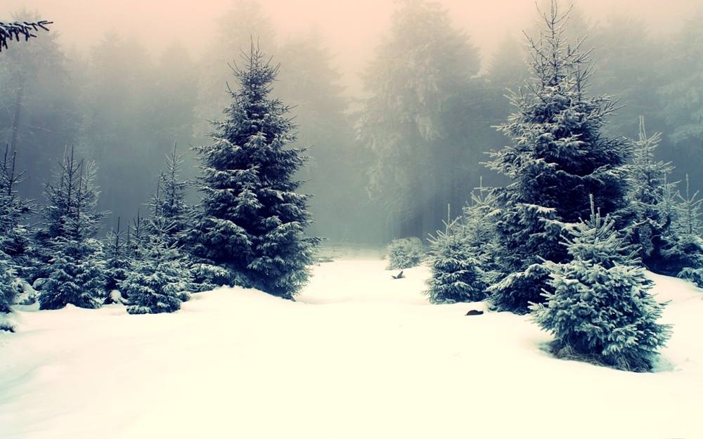 Season-(Winter-Snow-ฤดูหนาว-หิมะตก)HD-Wallpapers-Backgrounds ภาพพื้นหลัง พักหน้าจอ No.54