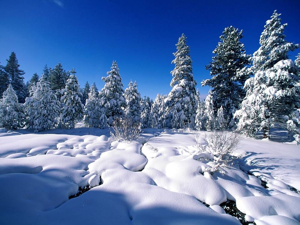 Season-(Winter-Snow-ฤดูหนาว-หิมะตก)HD-Wallpapers-Backgrounds ภาพพื้นหลัง พักหน้าจอ No.54