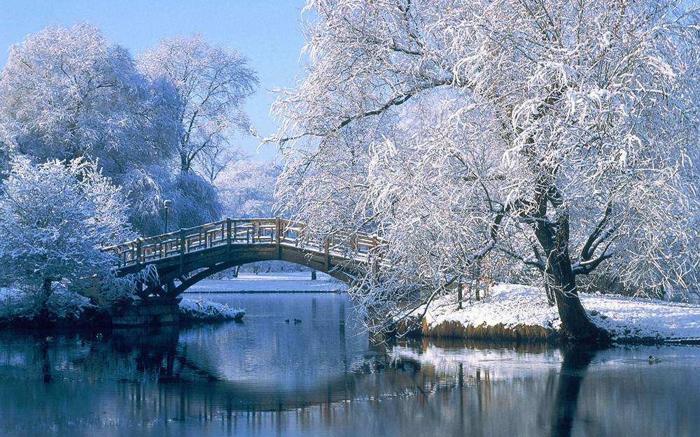Season-(Winter-Snow-ฤดูหนาว-หิมะตก)HD-Wallpapers-Backgrounds ภาพพื้นหลัง พักหน้าจอ No.54