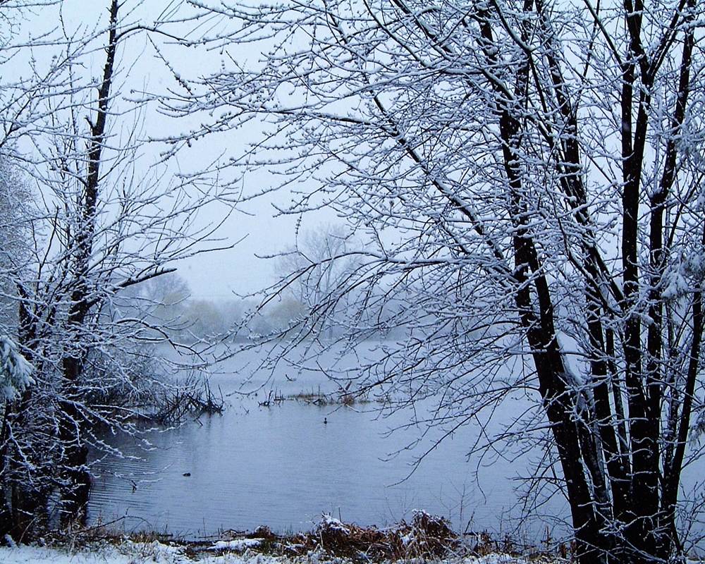 Season-(Winter-Snow-ฤดูหนาว-หิมะตก)HD-Wallpapers-Backgrounds ภาพพื้นหลัง พักหน้าจอ No.54