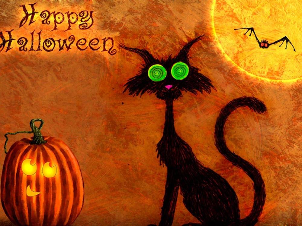 Funny-HD-Wallpapers-Backgrounds ภาพพื้นหลัง พักหน้าจอ No.1