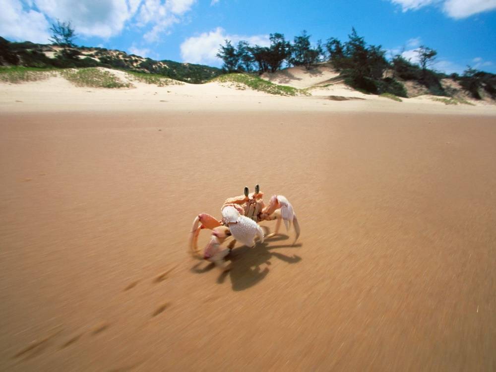 Funny-HD-Wallpapers-Backgrounds ภาพพื้นหลัง พักหน้าจอ No.2