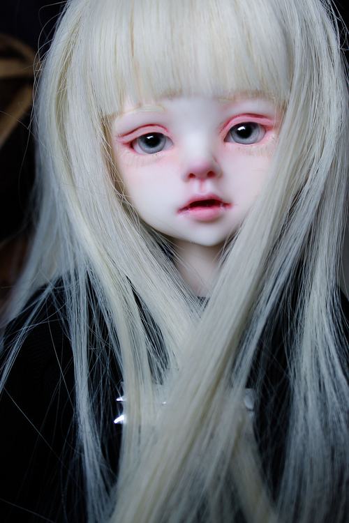 dolls 5  ตุ๊กตาแฟนตาซี คอสเพล