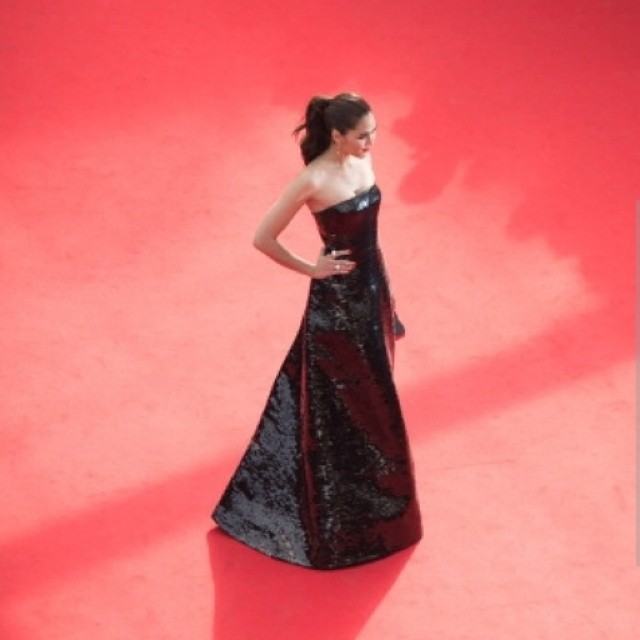 ชมพู่ อารยา in cannes2014